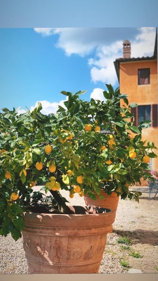 Fattoria Di Catignano Guest House San Giovanni  ภายนอก รูปภาพ